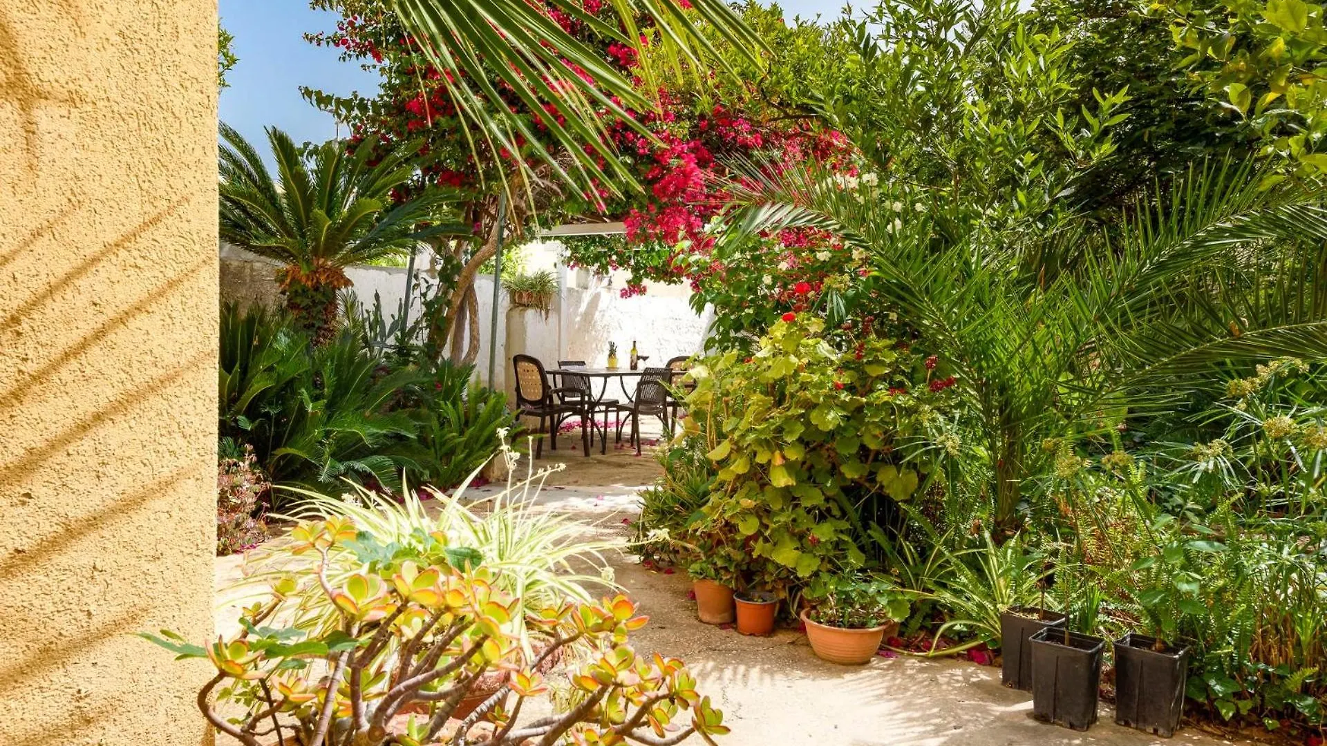 I Tre Golfi - Appartamenti Fino A 1 Chilometro Dal Centro San Vito Lo Capo Appartement